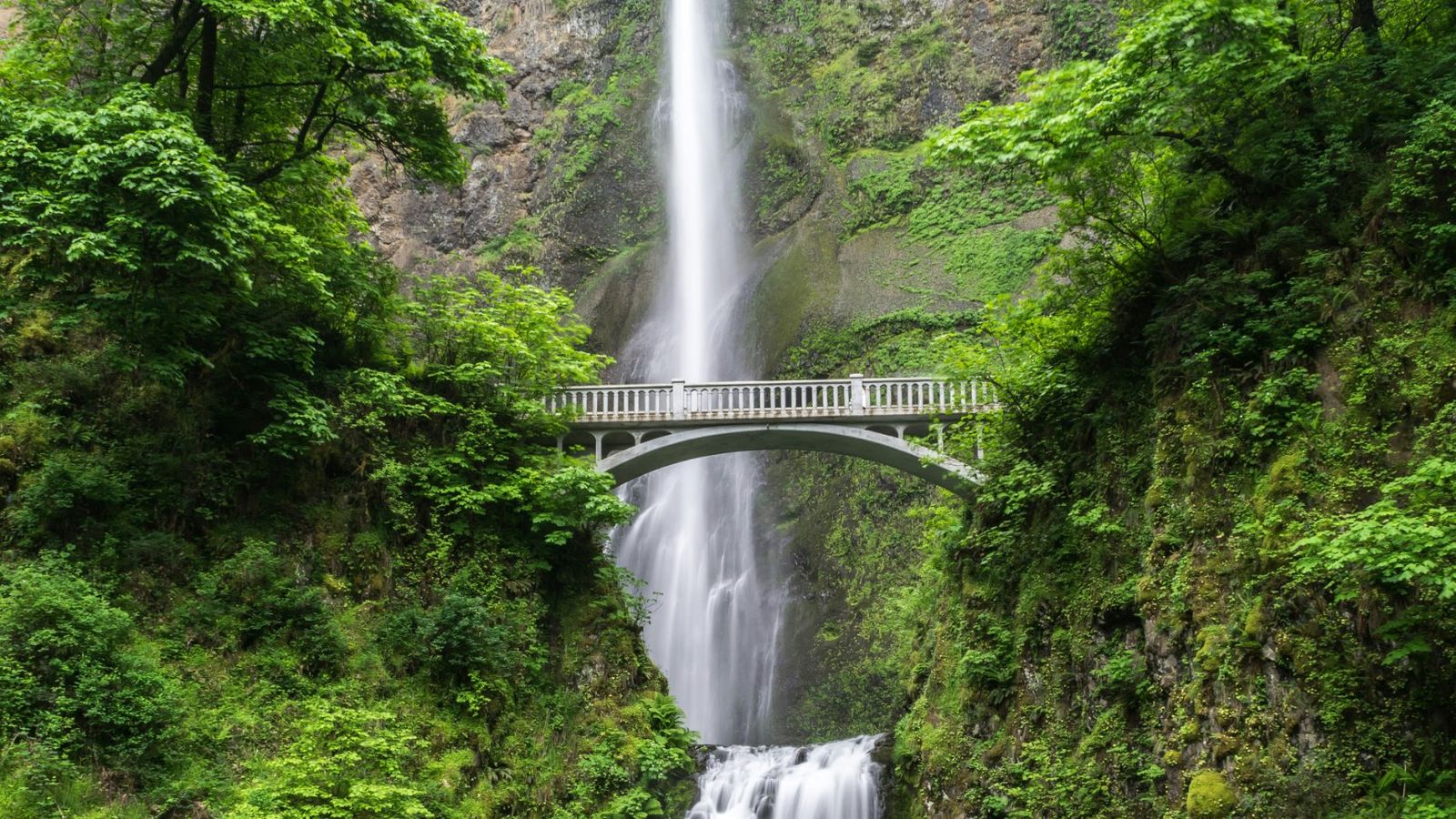 A bridge spanning a tall waterfall in a green gorge